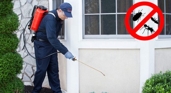 Akşehir Kene İlaçlama böcek ilaçlama ve haşere kontrolü — ilaclama-tr.com